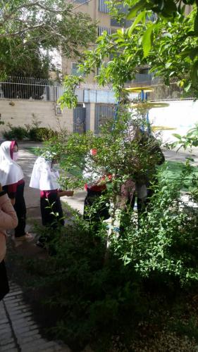 IMG-20220428-WA0023